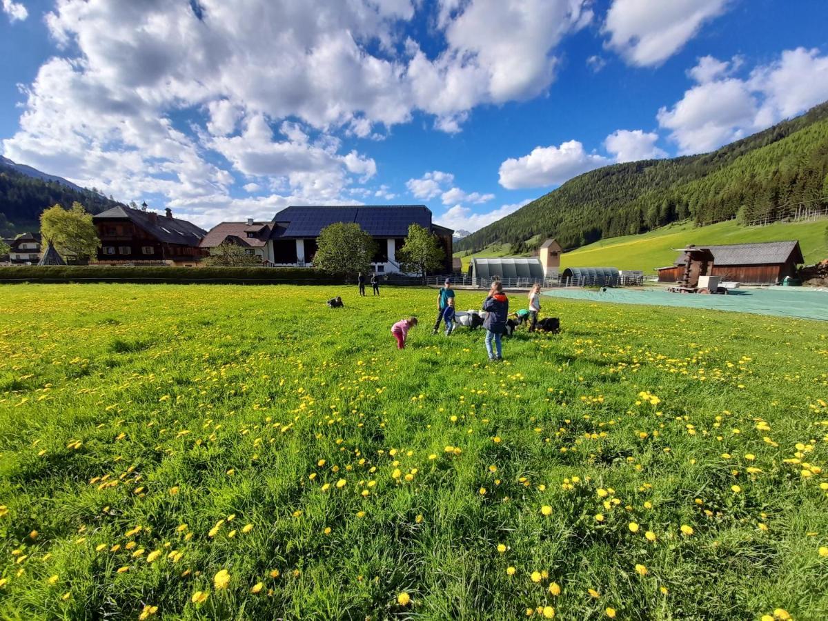 Sonnenchalet Neusess 毛特恩多夫 外观 照片